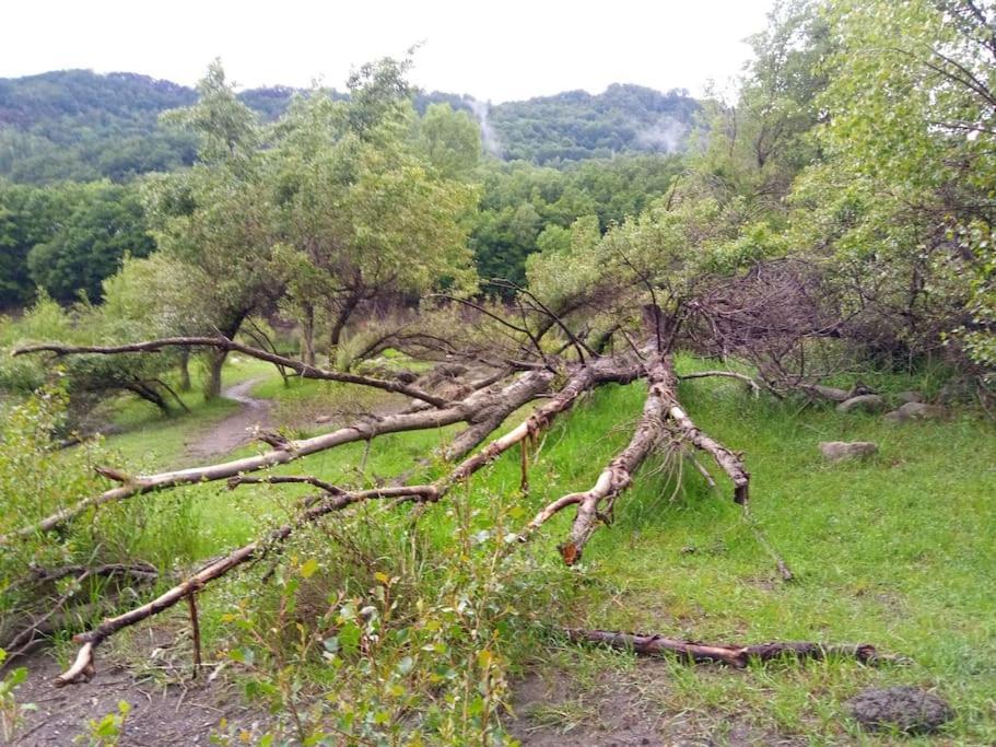 Atico En Pleno Pirineo * El Pueyo de Jaca